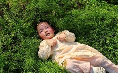 9877美女被虐图片